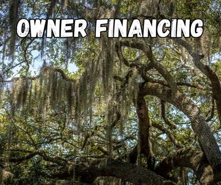 Farm and Ranch in Putnam County, Florida