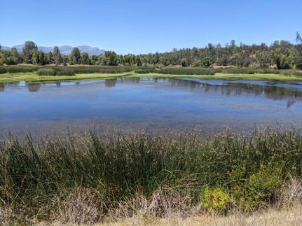 Hunting Property in Shasta County, California
