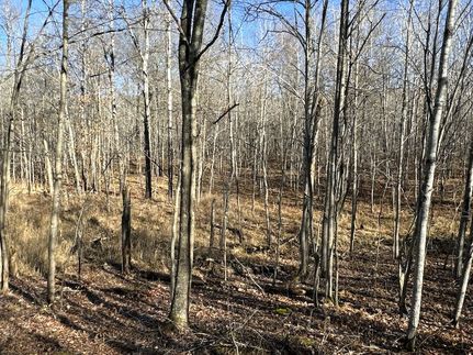 Land in Washburn County, Wisconsin