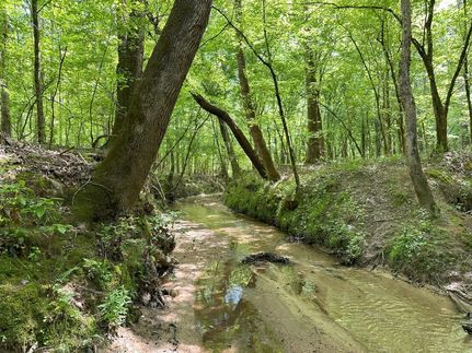 Timberland Property in Greene County, Georgia