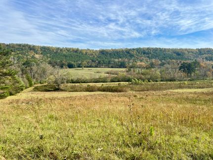 Horse Property in Blount County, Alabama
