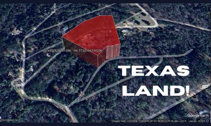 Undeveloped Land in Polk County, Texas