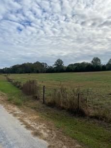 Land for sale in Macon County, Alabama