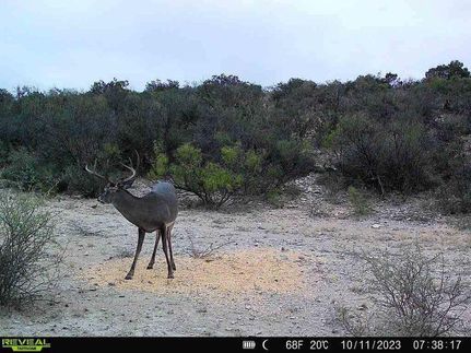 Hunting Property in Val Verde County, Texas