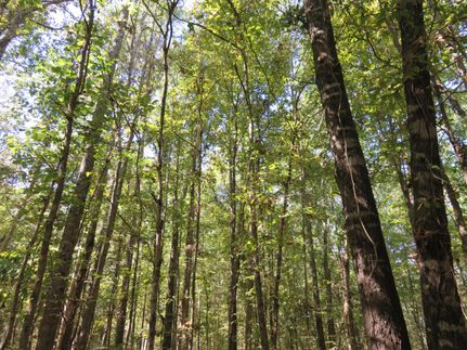 Farm and Ranch for sale in Nacogdoches County, Texas