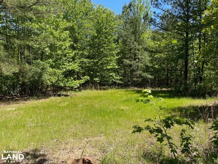 Recreational Property in Bibb County, Alabama