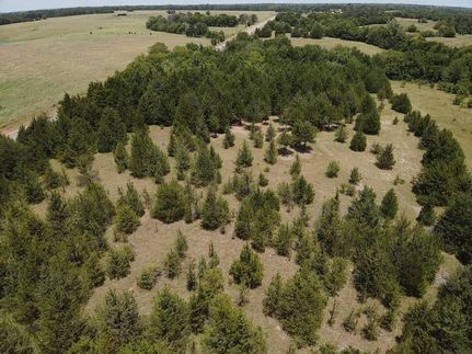 Timberland Property in Lamar County, Texas