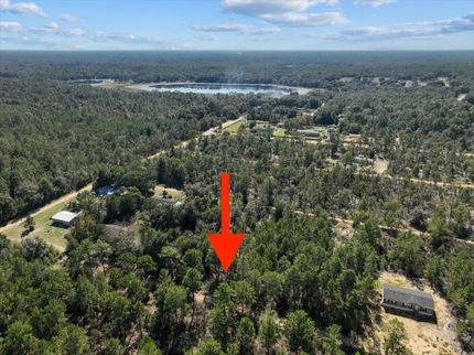Timberland Property in Putnam County, Florida