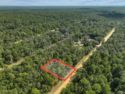 Undeveloped Land in Putnam County, Florida