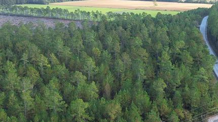 Timberland Property for sale in Horry County, South Carolina