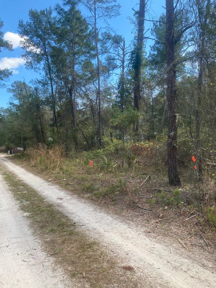 Timberland Property in Putnam County, Florida