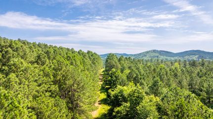 Hunting Property in Garland County, Arkansas