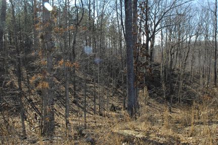 Hunting Property in Marion County, Tennessee