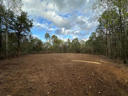 Farm and Ranch in Clarke County, Alabama