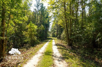 Farm and Ranch in Bamberg County, South Carolina