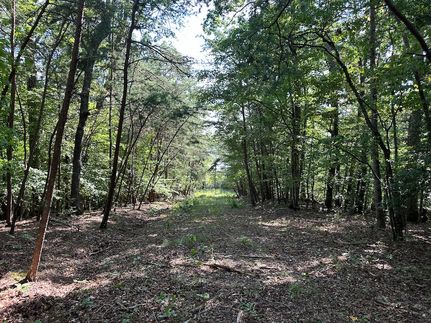 Farm and Ranch in Jefferson County, Tennessee