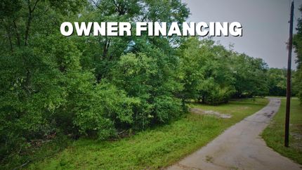 Undeveloped Land in Putnam County, Florida