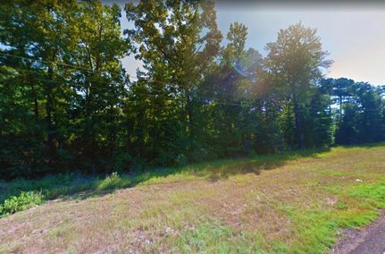 Undeveloped Land in Marion County, Texas