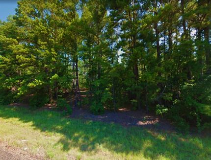 Undeveloped Land in Marion County, Texas