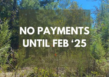 Farm and Ranch in Putnam County, Florida