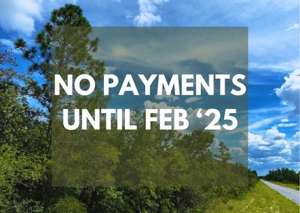 Undeveloped Land in Putnam County, Florida