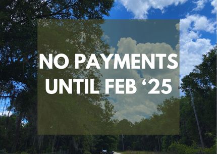 Undeveloped Land in Putnam County, Florida