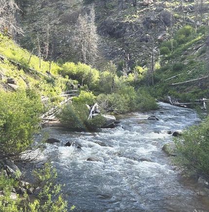 Timberland Property in Boise County, Idaho