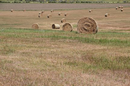 Farm and Ranch in Lyman County, South Dakota
