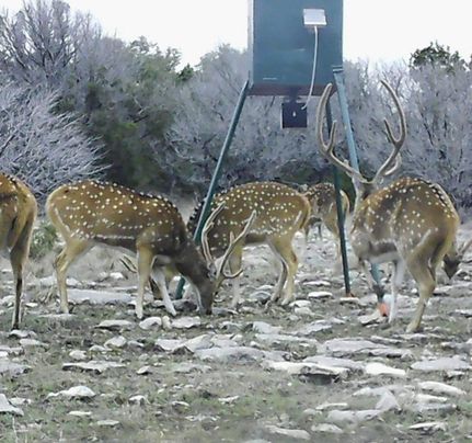 Hunting Property in Edwards County, Texas