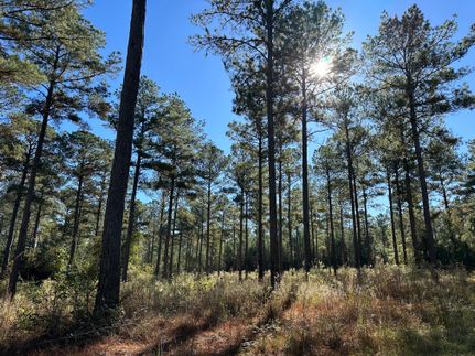 Recreational Property in Crenshaw County, Alabama