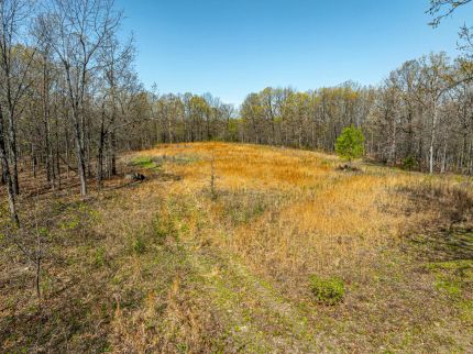 Undeveloped Land in Sharp County, Arkansas