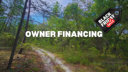 Undeveloped Land in Putnam County, Florida