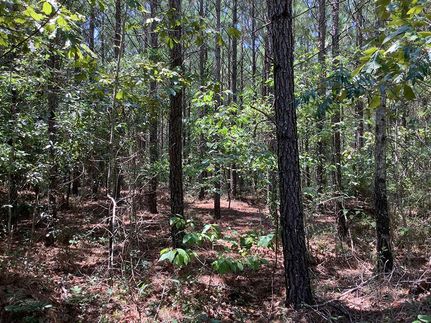 Recreational Property in Early County, Georgia