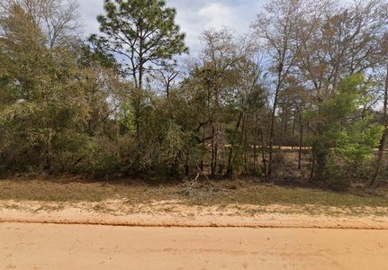 Timberland Property in Putnam County, Florida