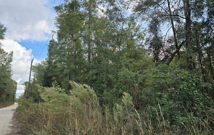 Land in Dixie County, Florida