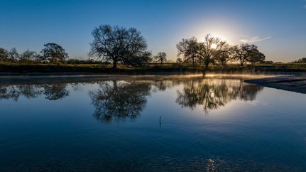 Horse Property for sale in Guadalupe County, Texas