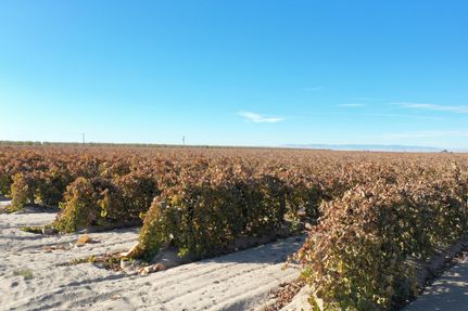 Farm and Ranch in Fresno County, California