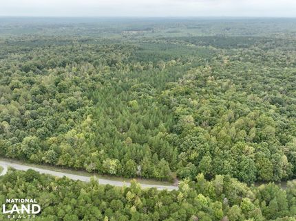 Timberland Property in Halifax County, Virginia