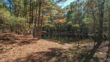 Recreational Property in Red River County, Texas