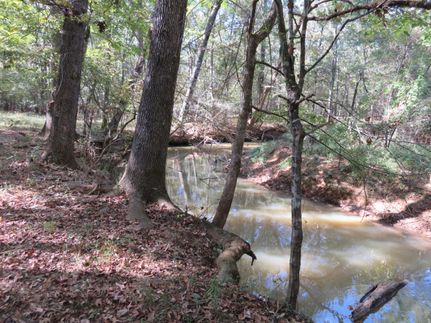 Land for sale in Nacogdoches County, Texas