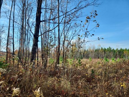 Commercial Property in Forest County, Wisconsin