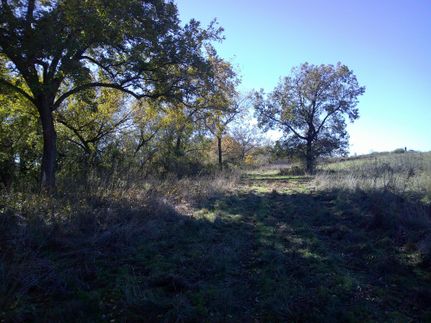 Land for sale in Montague County, Texas