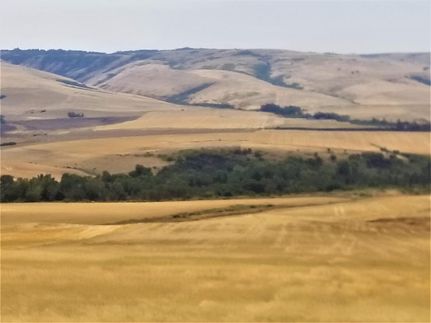 Undeveloped Land in Umatilla County, Oregon