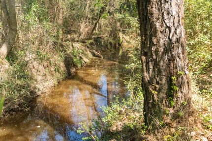 Land in Houston County, Texas