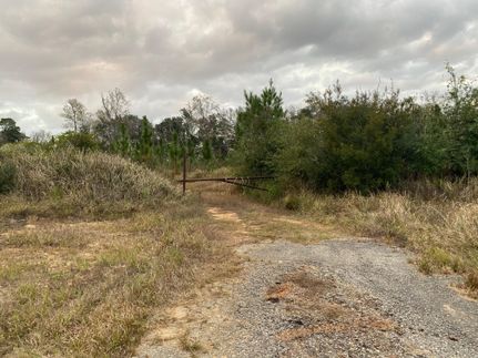 Hunting Property in Mobile County, Alabama