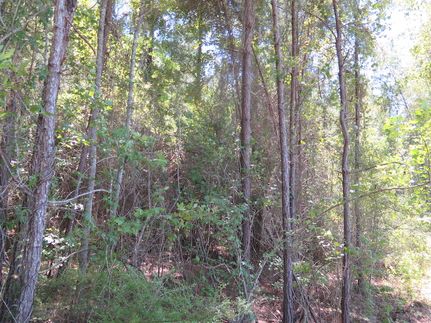 Recreational Property in Clarke County, Mississippi