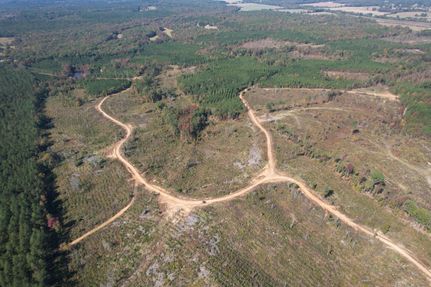 Timberland Property for sale in Yalobusha County, Mississippi
