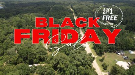 Undeveloped Land in Putnam County, Florida