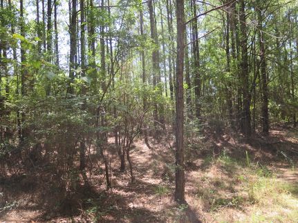 Undeveloped Land in Clarke County, Mississippi