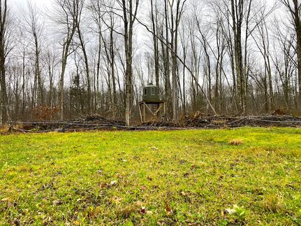 Timberland Property in Lincoln County, Wisconsin